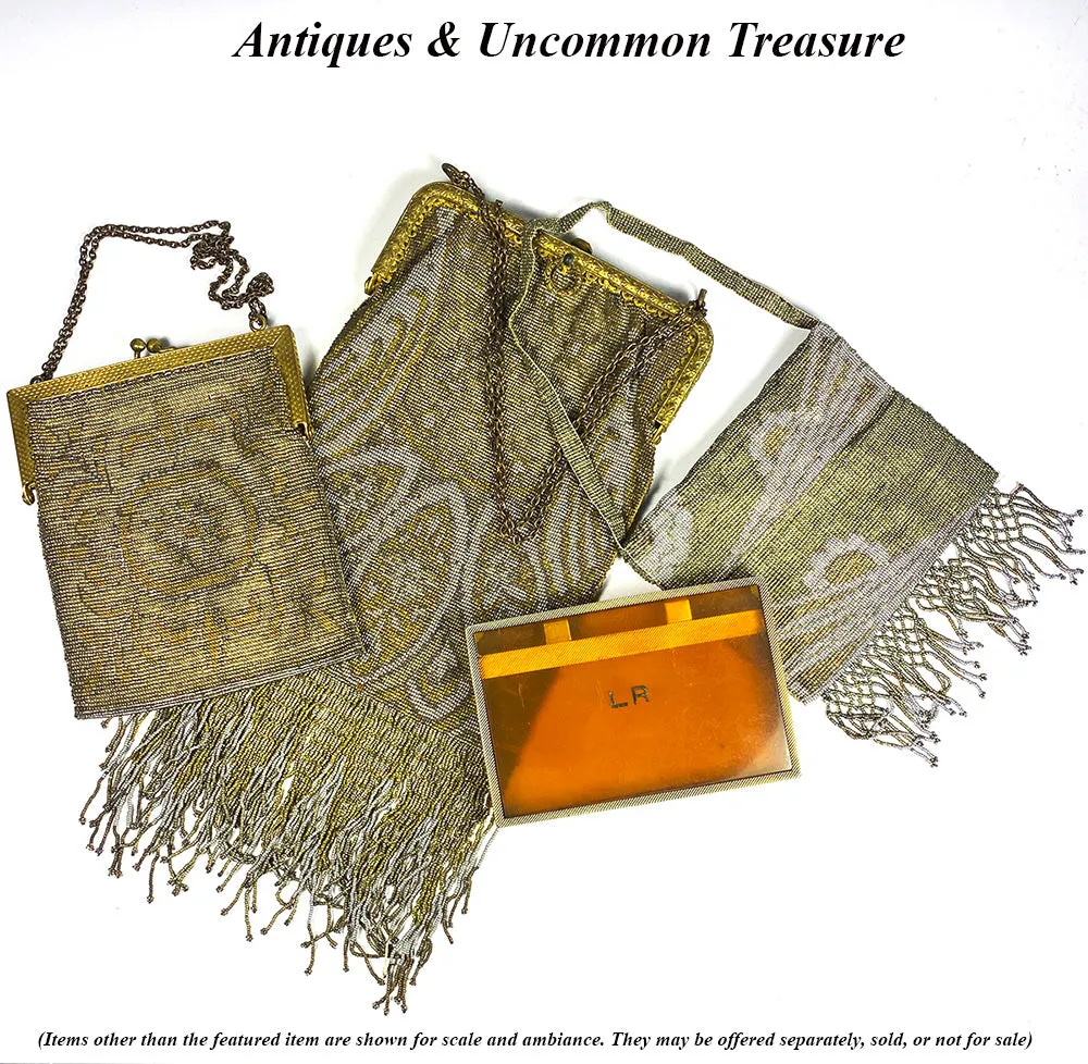 Antique French Lush Fringed Glass Bead Flapper Purse, Paisley Evening Bag, Gold, Silver 12.5" Long