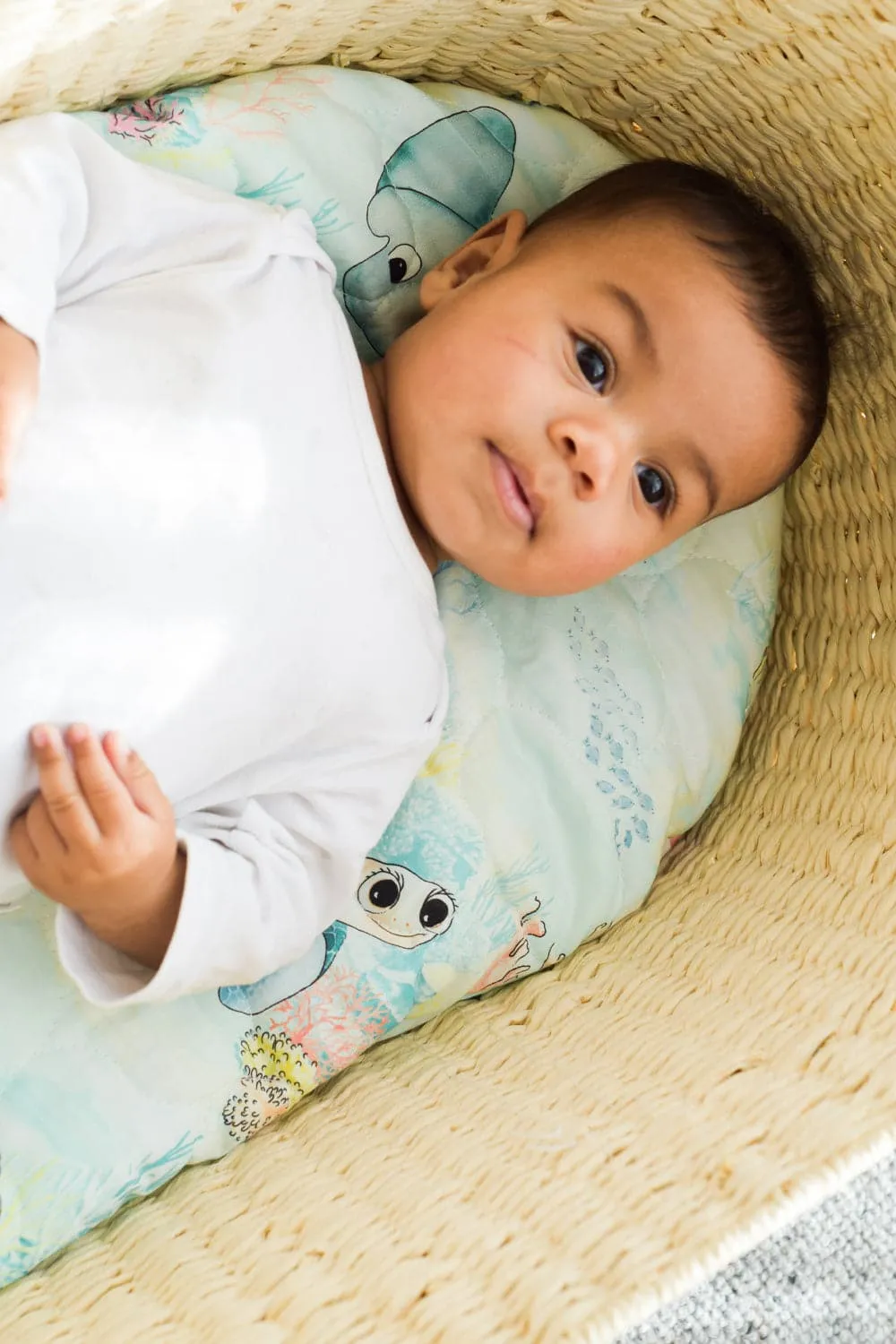 Lady Elliot Island Baby Cot Sheet Expect-A-Spill Sheets