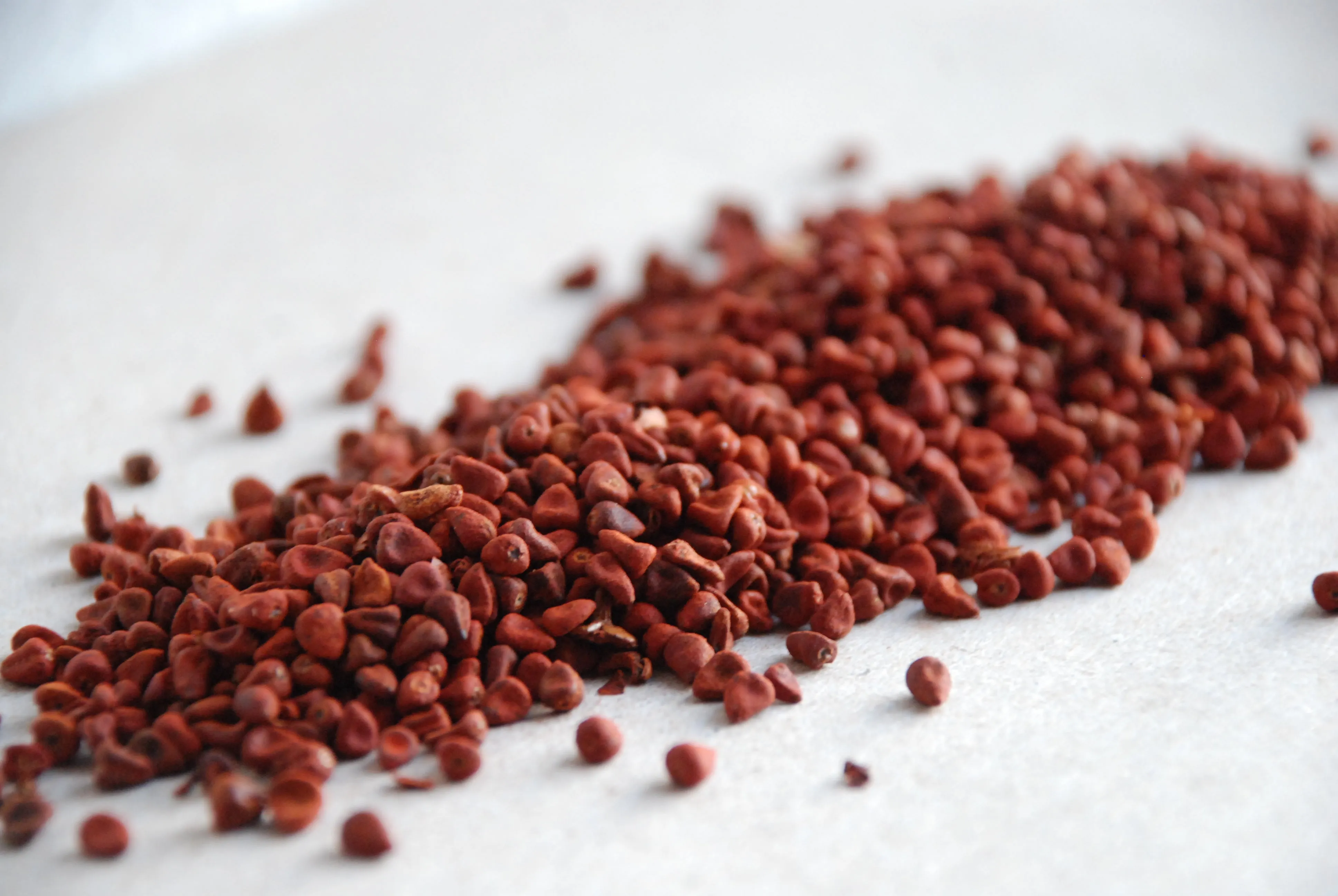 ORGANIC ANNATTO SEED DYE
