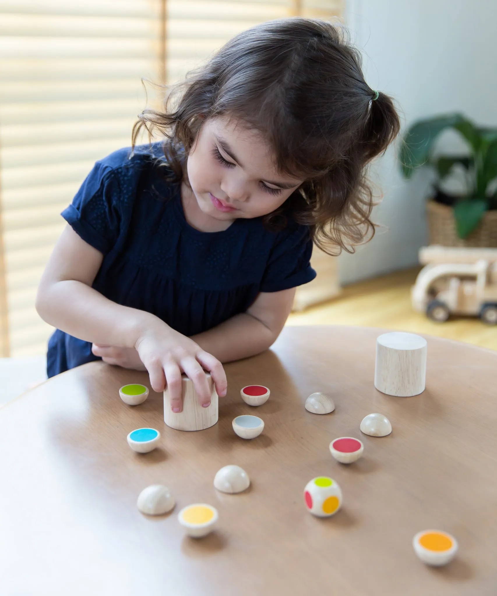 PlanToys Shake and Flip
