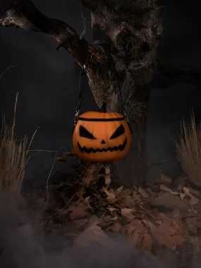 Sleepy Hollow™ BABY Pumpkin Bag