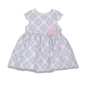 Soledad Silver Embroidered Dress